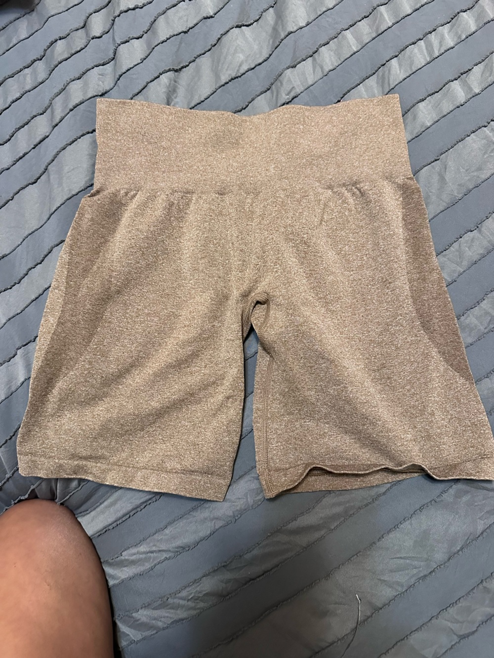 NVGTN Shorts